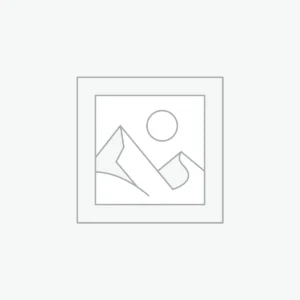 Creative Art Software